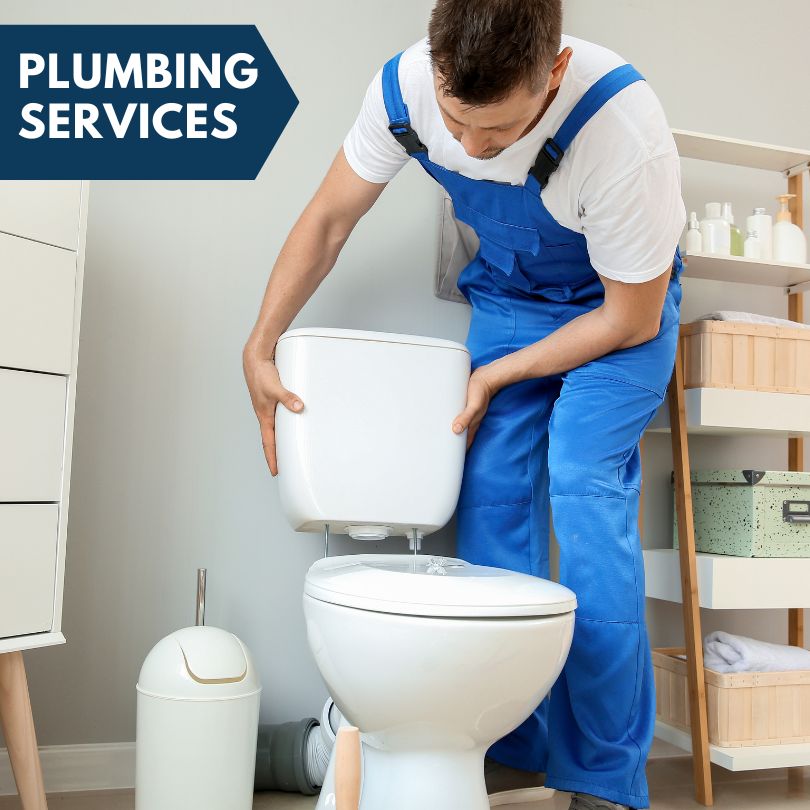 Plumbing Company in Luke, MD